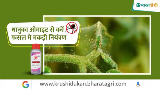 धानुका ओमाइट से करें मकड़ी  नियंत्रण | Control spiders with Dhanuka Omite