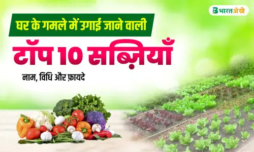 growing vegetables at home india