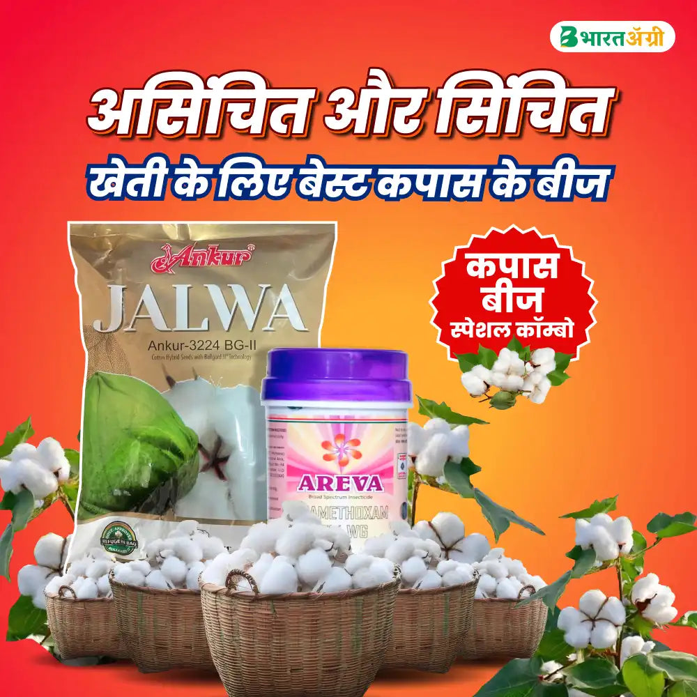 Ankur Jalwa Cotton Seeds (475gm x 2) + Dhanuka Areva Insecticide (500 gm) Combo