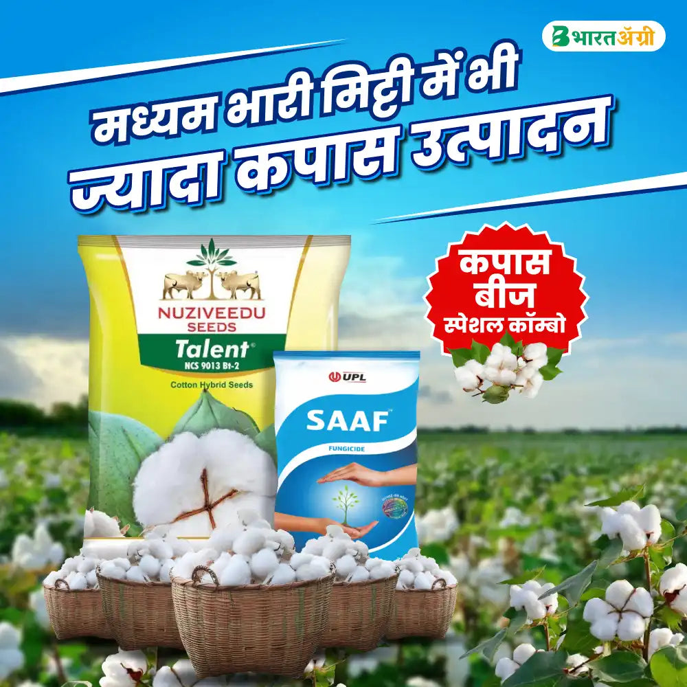 Nuziveedu Talent BG II Hybrid Cotton Seeds (475 gm x 2 packet) + UPL Saaf fungicide 500 gm Combo