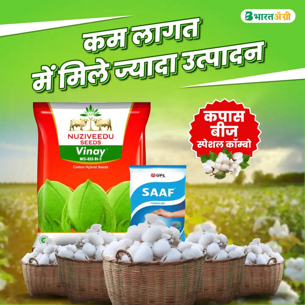 Nuziveedu Vinay Cotton Seeds (475gm x 2) + UPL Saaf (500gm) Combo