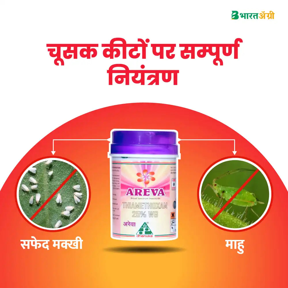 Ankur Jalwa Cotton Seeds (475gm x 2) + Dhanuka Areva Insecticide (500 gm) Combo