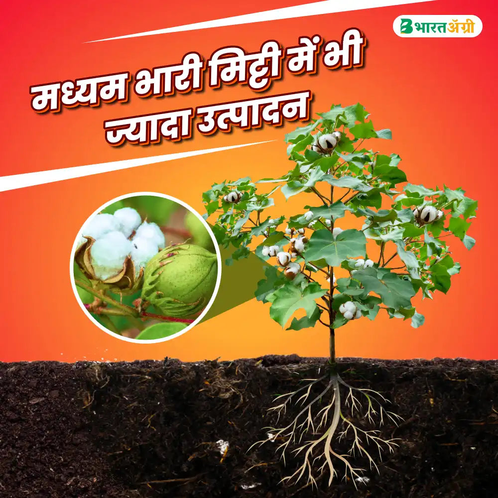 Ankur Jalwa Cotton Seeds (475gm x 2) + Dhanuka Areva Insecticide (500 gm) Combo