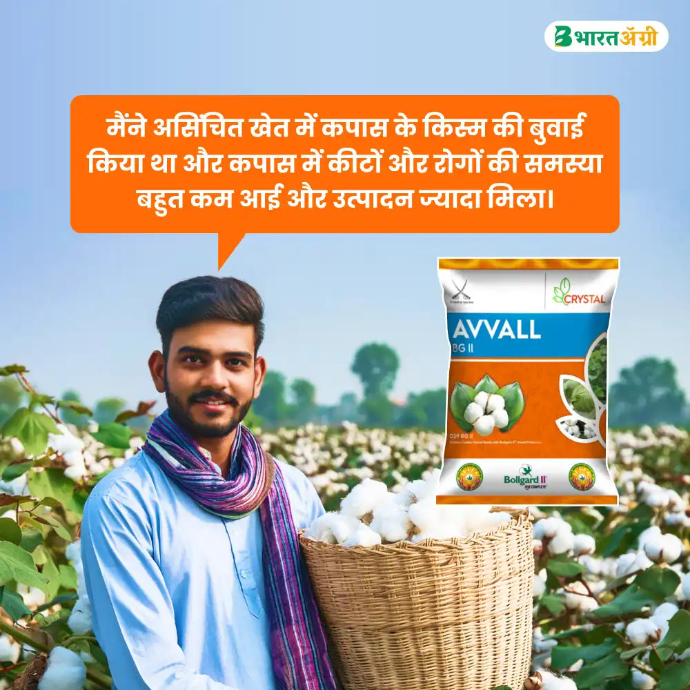 Crystal Avval Cotton Seeds (475gm x 2) + Dhanuka Areva (500 gm) Combo