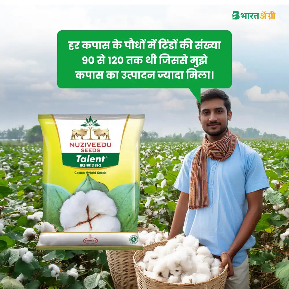 Nuziveedu Talent BG II Hybrid Cotton Seeds (475 gm x 2 packet) + UPL Saaf fungicide 500 gm Combo