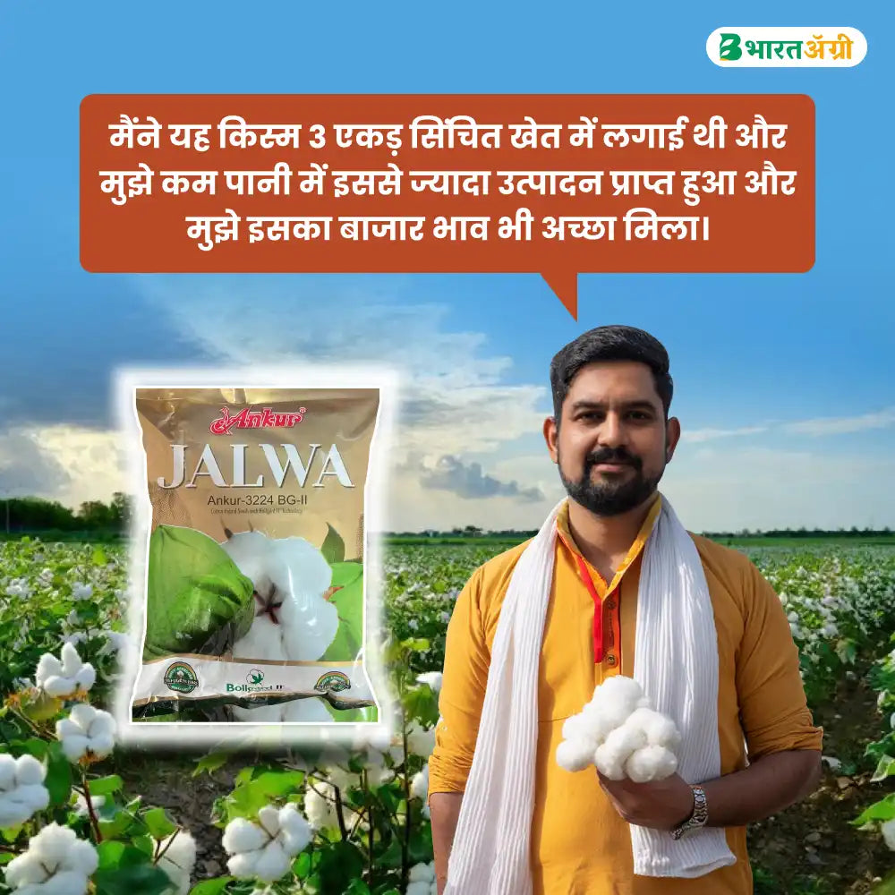 Ankur Jalwa Cotton Seeds (475gm x 2) + Dhanuka Areva Insecticide (500 gm) Combo