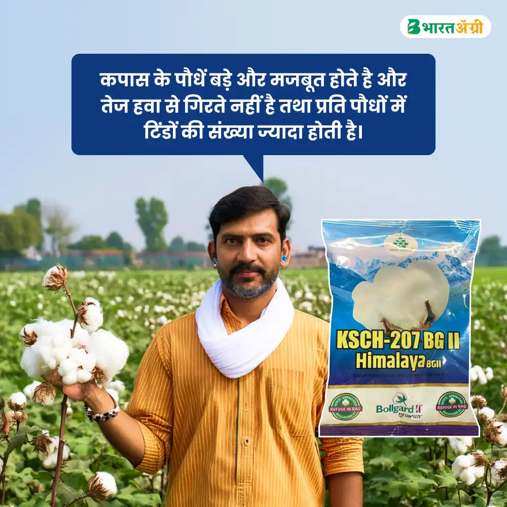 Nath KSCH 207 Cotton Seeds (475gm x 2) + Dhanuka Areva (500gm) Combo