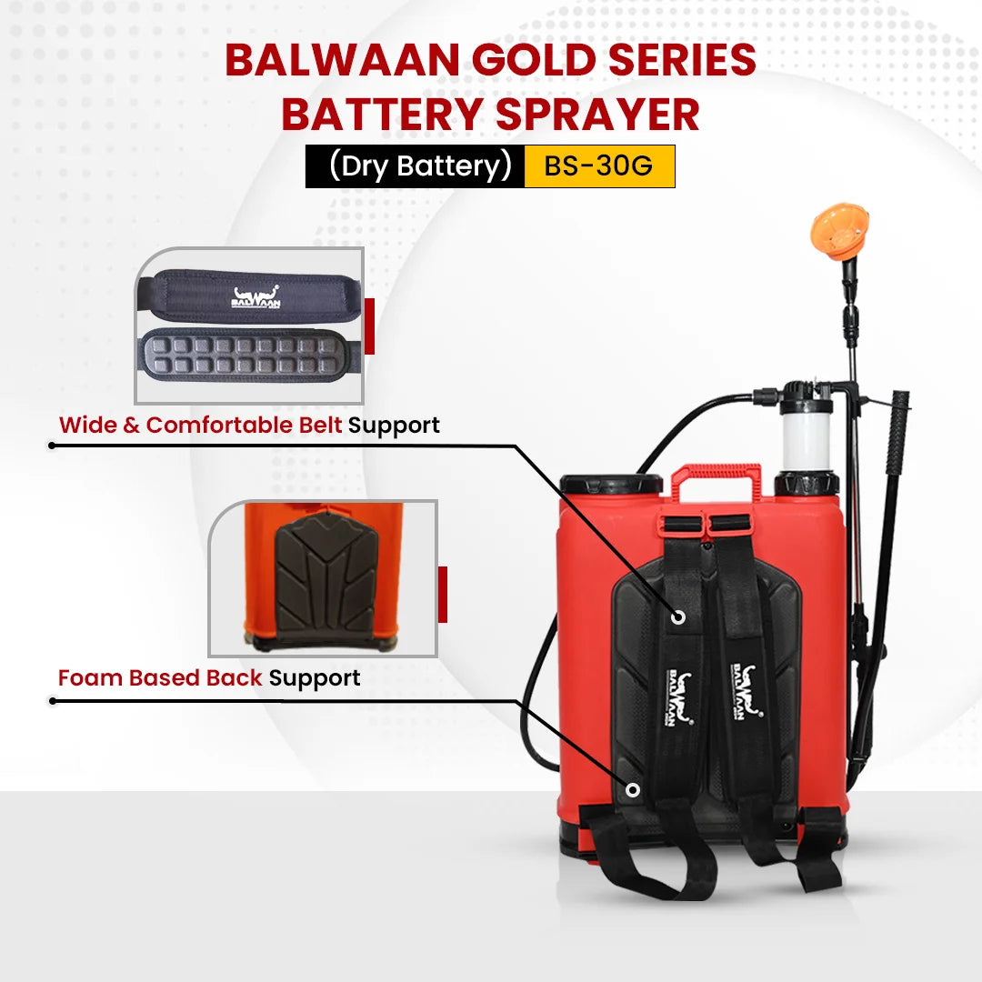 Balwaan Gold Series BS-30G Double Motor Battery Sprayer pump