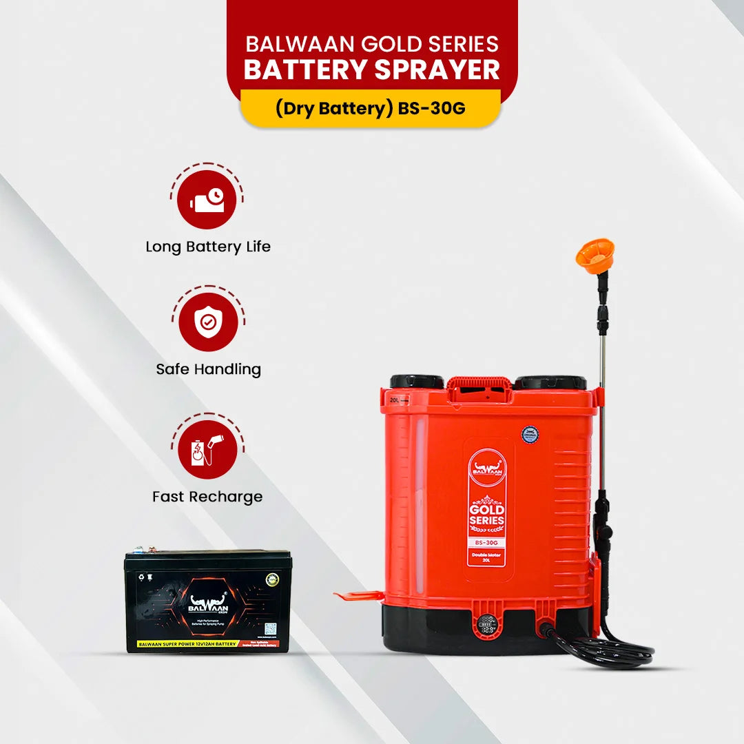 Balwaan Gold Series BS-30G Double Motor Battery Sprayer pump