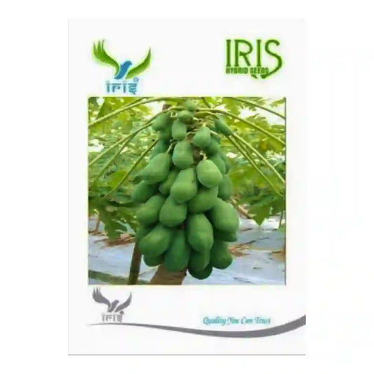 Iris Hybrid F1 Papaya SeedsIris Hybrid F1 Papaya Seeds