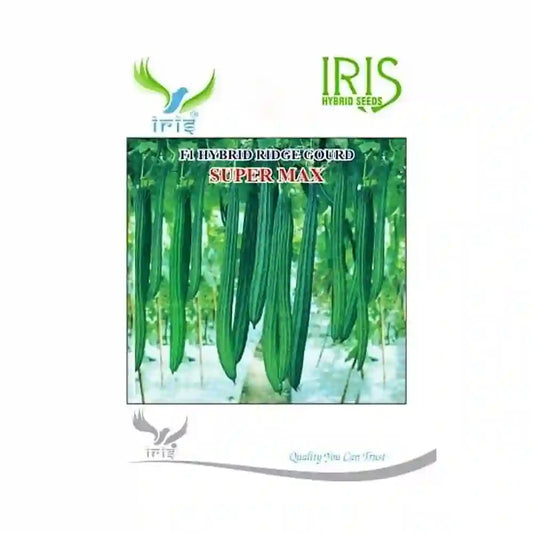 Iris Super Max F1 Ridge Gourd Seeds