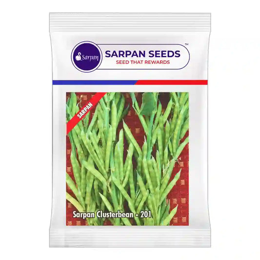 Sarpan Cluster Beans-201 Seeds