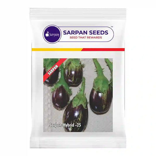 Sarpan F1 Hybrid Brinjal-25 Brinjal Seeds