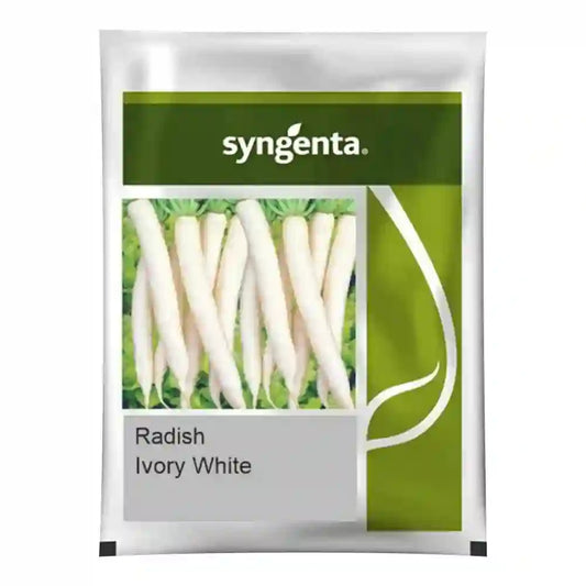 Syngenta Ivory White F1 Hybrid Radish Seeds