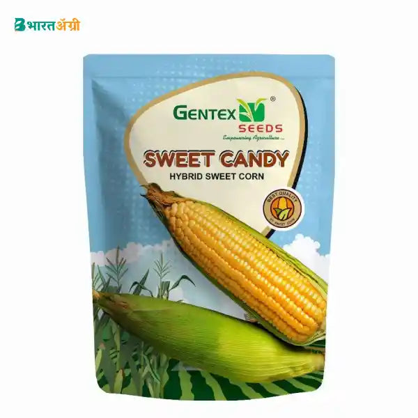 Gentex Sugar Candy Sweetcorn Seeds (1+1 Free)