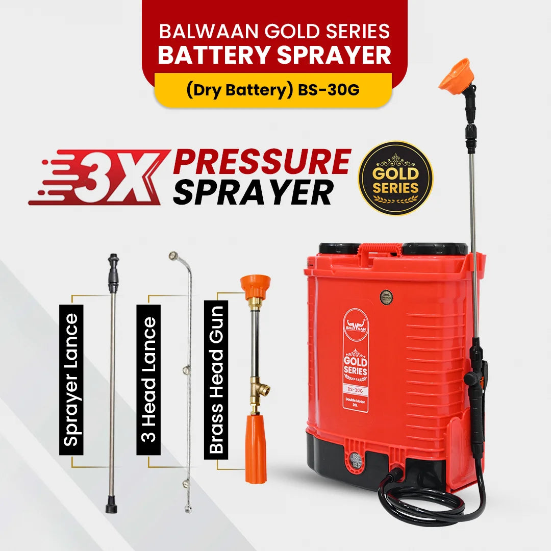 Balwaan Gold Series BS-30G Double Motor Battery Sprayer pump