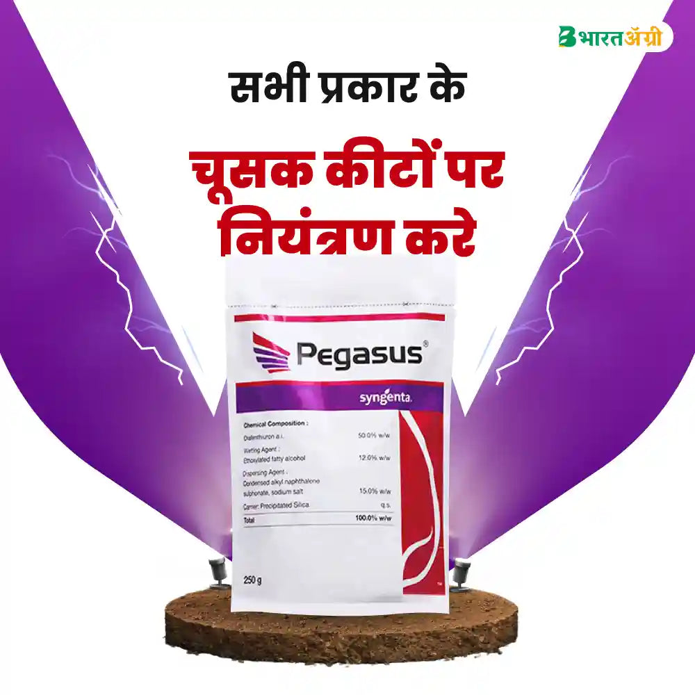 Syngenta Pegasus (Diafenthiuron 50%WP) Insecticide