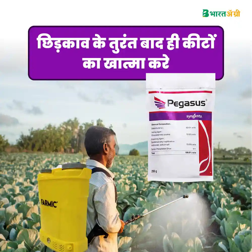 Syngenta Pegasus (Diafenthiuron 50%WP) Insecticide