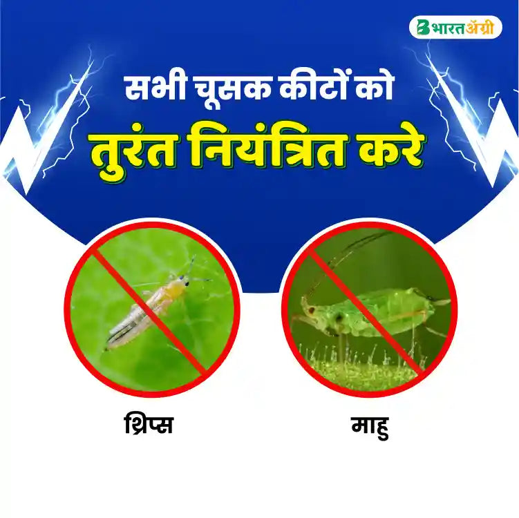 बीएसीएफ इलेक्स (इमिडाक्लोप्रिड 30.5% एससी) कीटकनाशक 