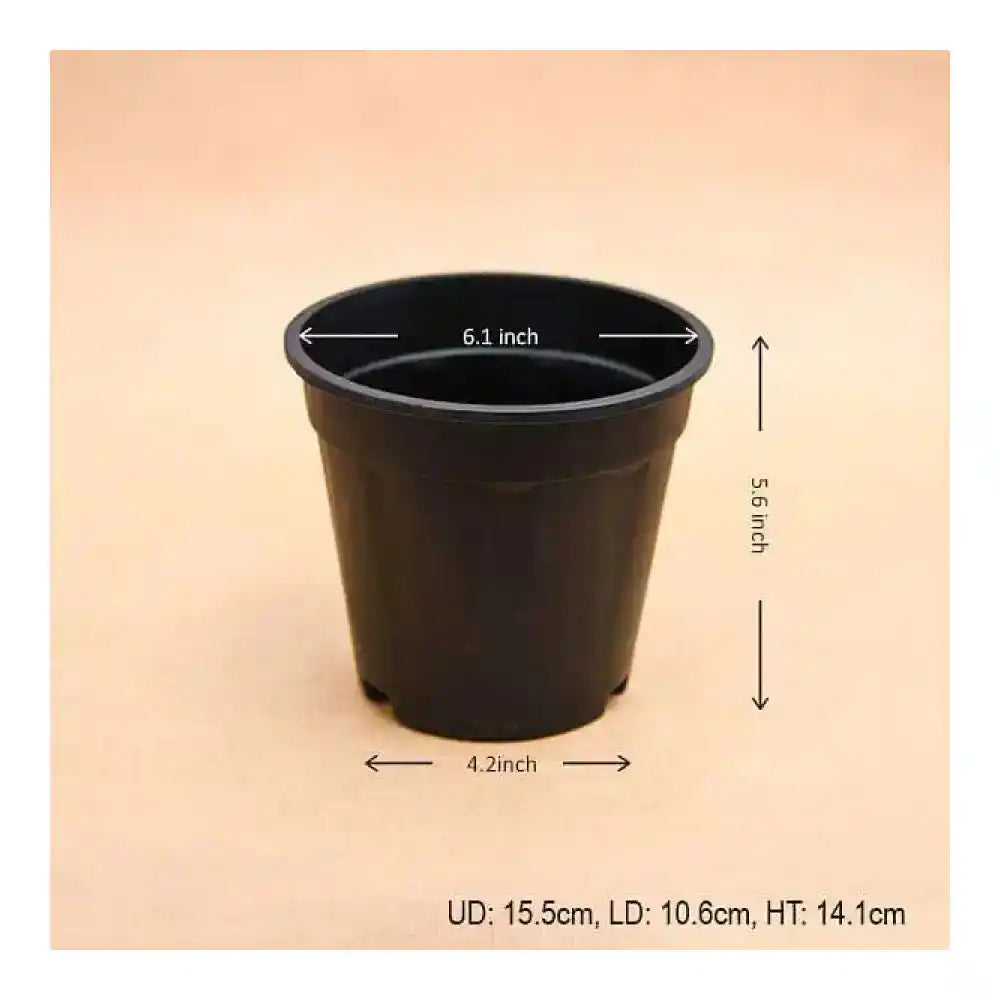 नर्सरीलाइव 6 इंच (15 सेमी) ग्रोवर गोल प्लास्टिक पॉट (काला)