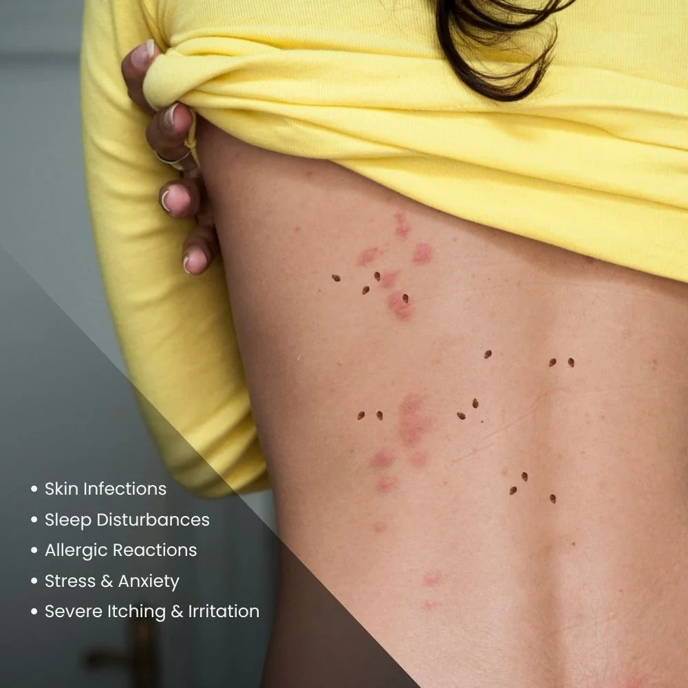 Amish Herbal Bed Bug Repellent Powder – BharatAgri Krushi Dukan