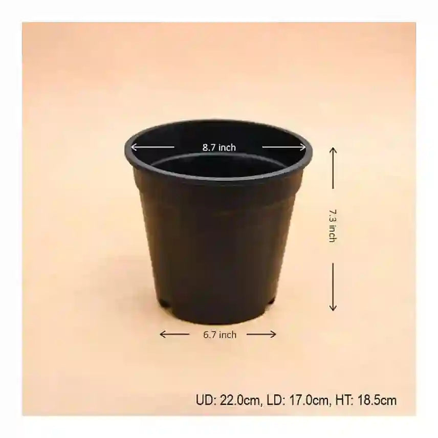 नर्सरीलाइव 9 इंच (23 सेमी) ग्रोवर गोल प्लास्टिक पॉट (काला)