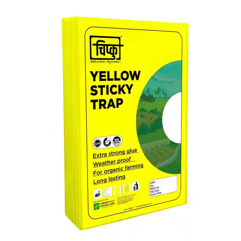 Chipku A4 Sticky Trap - Pack of 25 each (Yellow, Blue, White)3