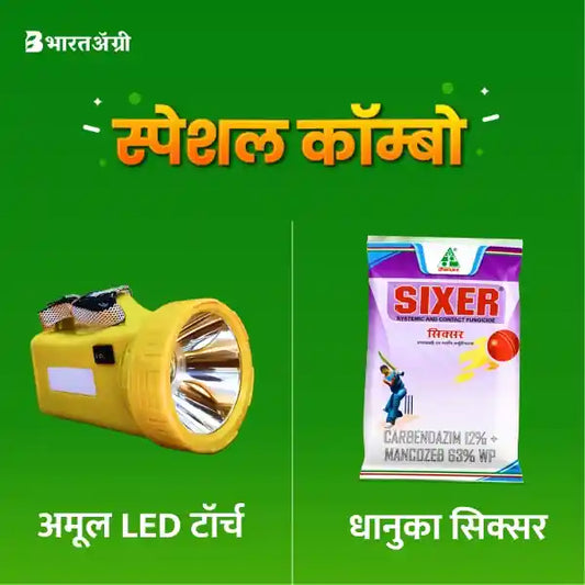Amul LED Torch + Dhanuka Sixer