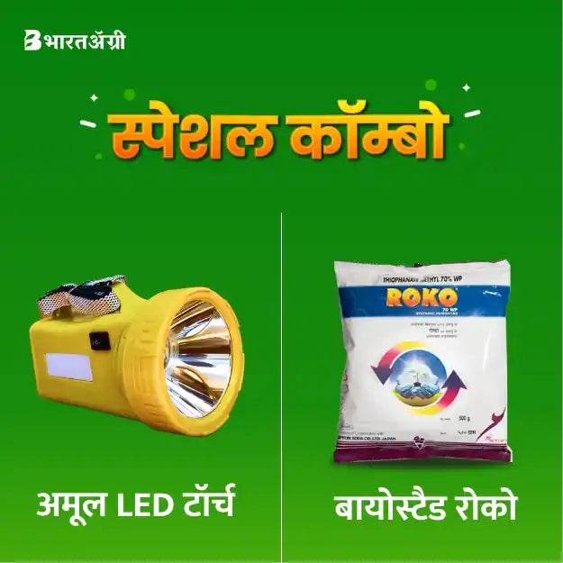 Amul LED Torch +  Biostadt Roko