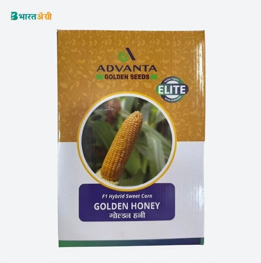 Advanta Golden Honey Hybrid Sweet Corn Seeds | BharatAgri Krushidukan