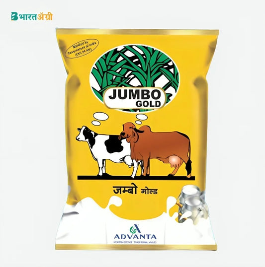 Advanta Jumbo Gold Fodder Grass Seeds | BharatAgri Krushidukan