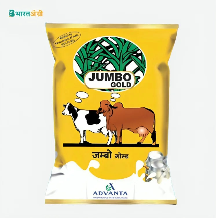 Advanta Jumbo Gold Fodder Grass Seeds | BharatAgri Krushidukan