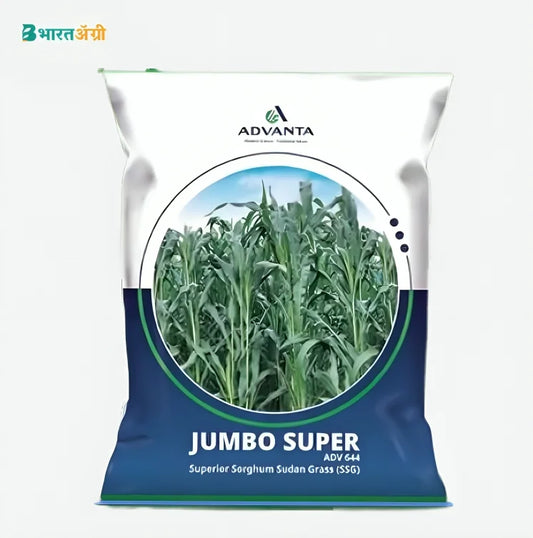 Advanta Jumbo Super Fodder Grass Seeds | BharatAgri Krushidukan
