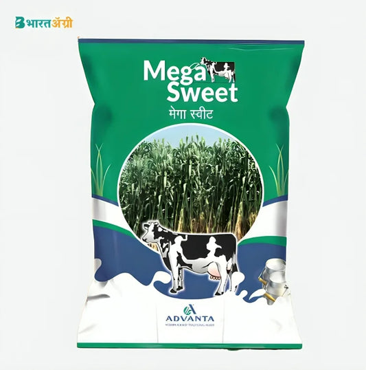 Advanta Mega Sweet Fodder Grass Seeds | BharatAgri Krushidukan