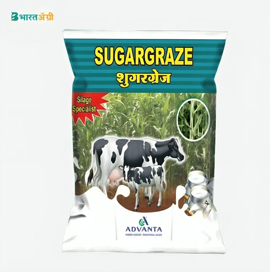 Advanta Sugargraze Fodder Grass Seeds | BharatAgri Krushidukan