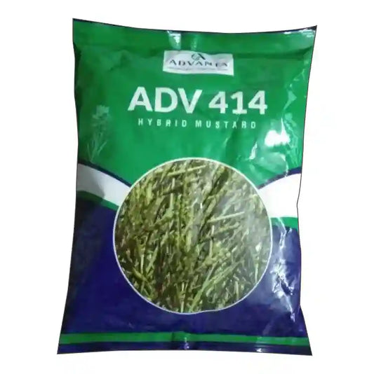 Advanta ADV-414 Mustard Seed