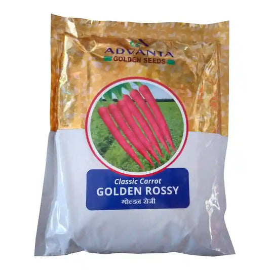 Advanta Classic Golden Rossy Carrot Seeds