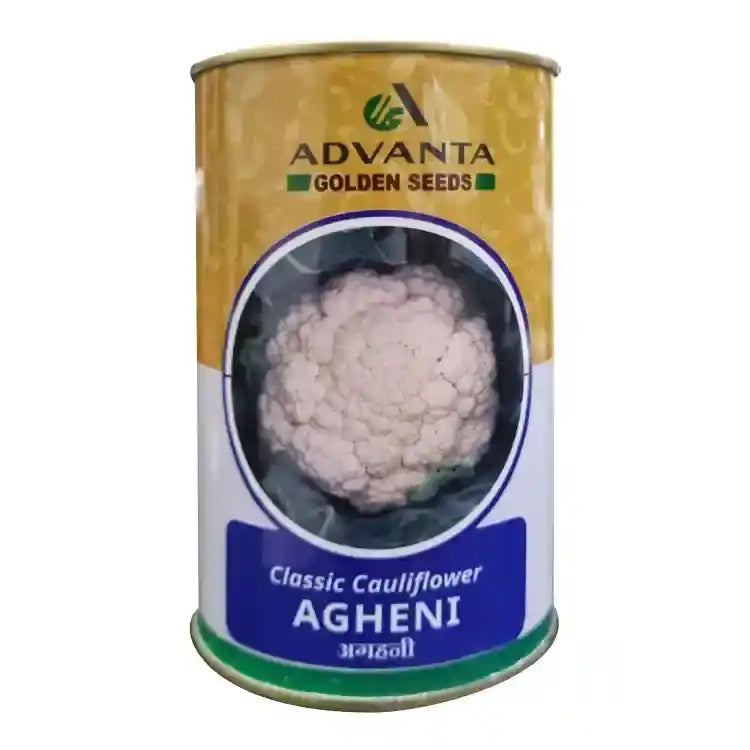 Advanta Agheni Cauliflower Seeds