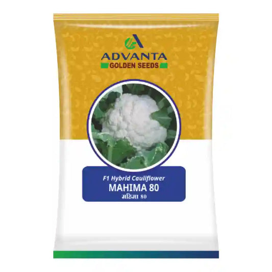 Advanta Mahima-80 F1 Hybrid Cauliflower Seeds