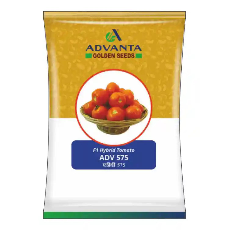 Advanta F1 Hybrid ADV -575 Tomato Seeds