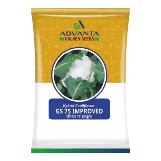 Advanta GS 75 F1 Hybrid Cauliflower Seeds