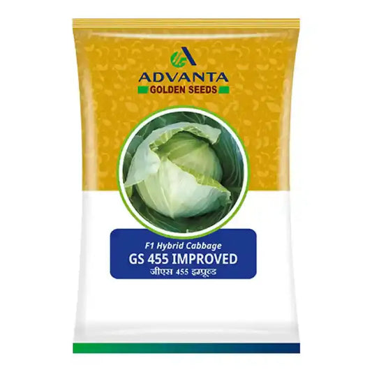 Advanta GS-455 F1 Hybrid Cabbage Seeds