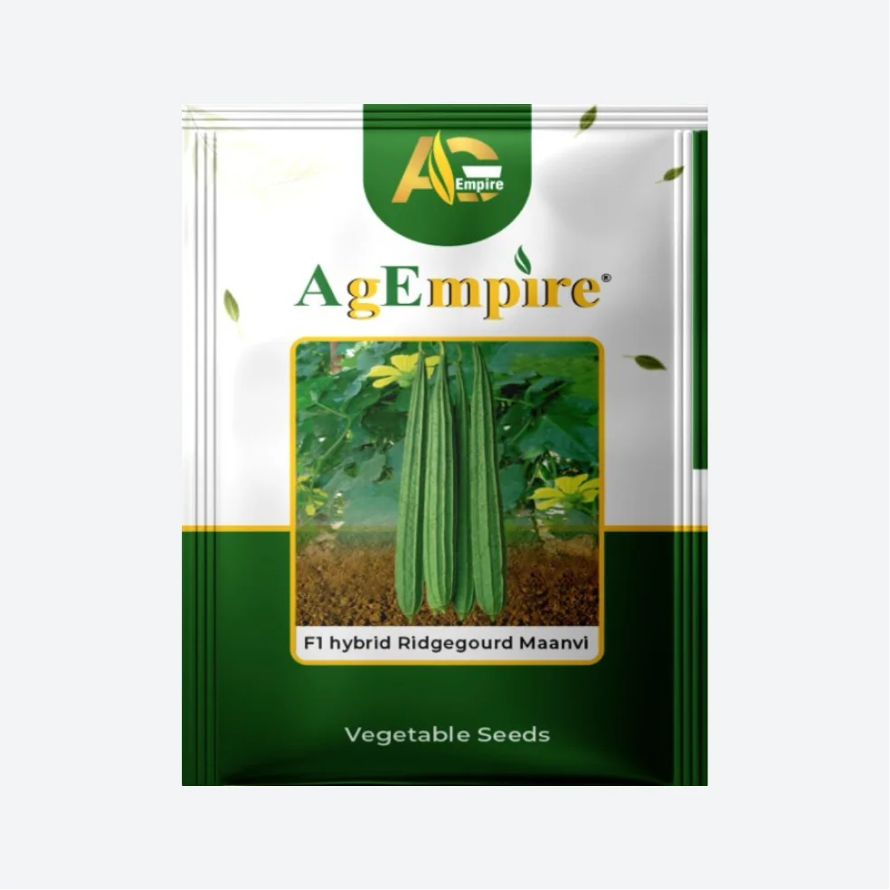 AgEmpire Maanvi F1 Hybrid Ridge Gourd Seeds