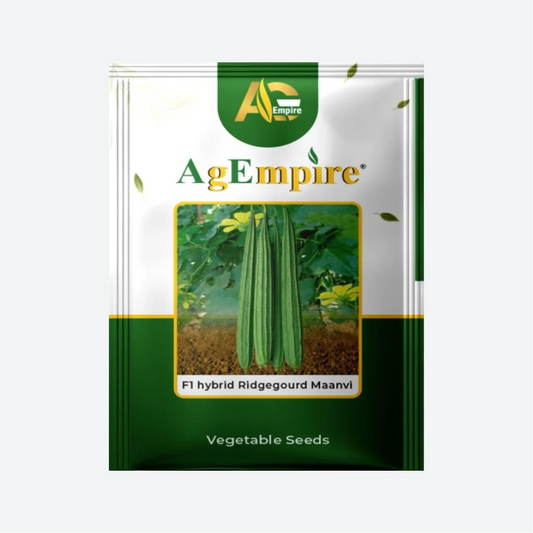 AgEmpire Maanvi F1 Hybrid Ridge Gourd Seeds