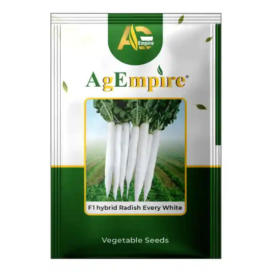 AgEmpire F1 Hybrid Every White Radish Seeds