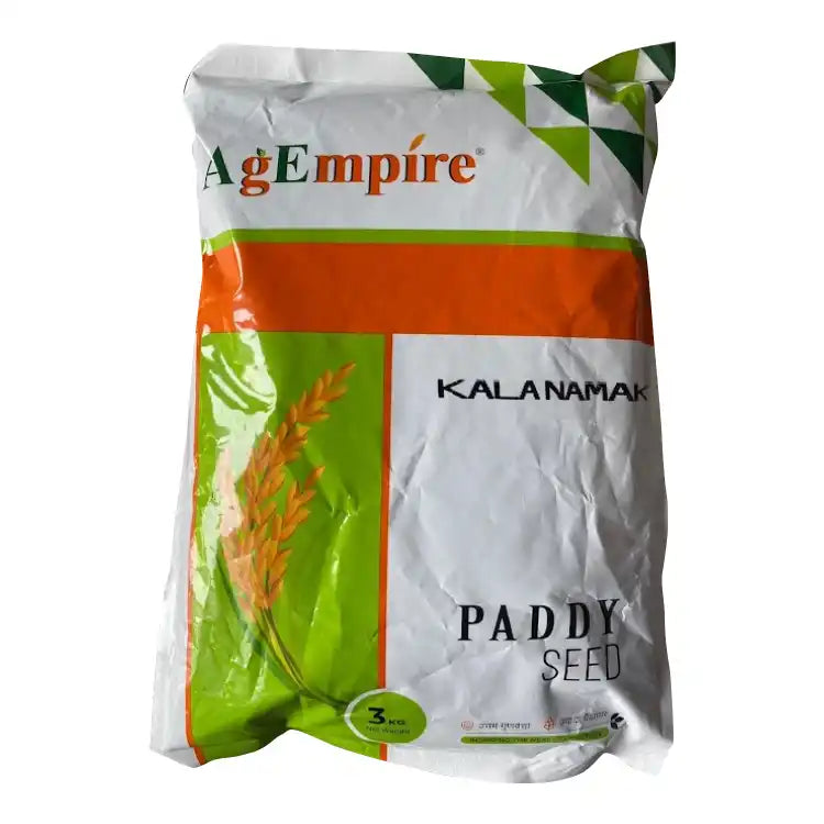 AgEmpire Kala Namak Paddy Seeds