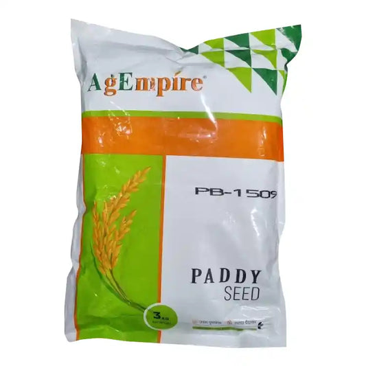 AgEmpire PB-1509 Paddy Seeds