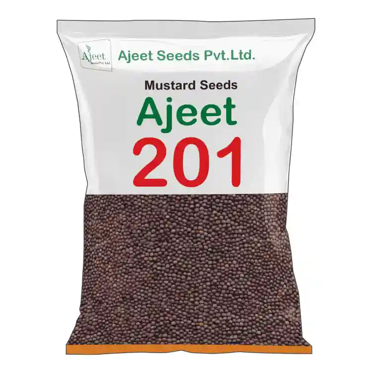 Ajeet-201 Mustard Seeds