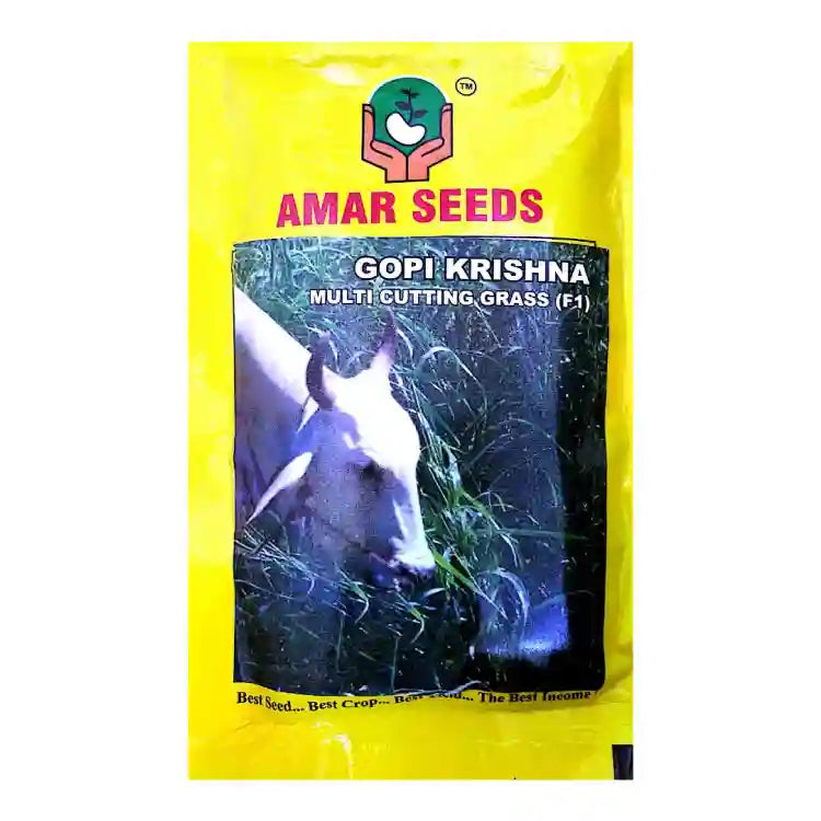 Amar Gopi Krishna Multicut F1 Hybrid Grass Seeds