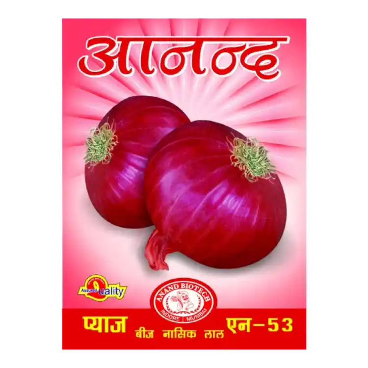 Anand Biotech N-53( Nashik Red) Onion Seeds